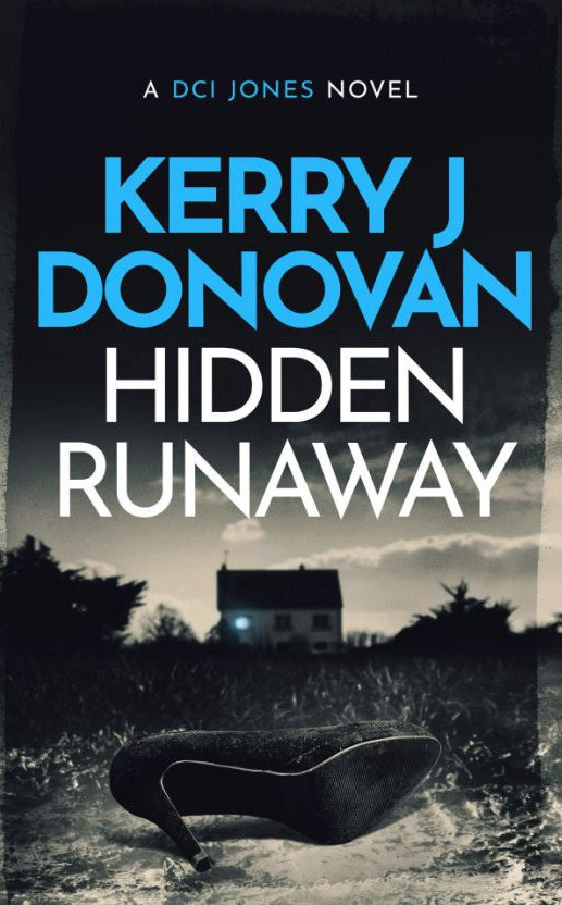 Book Cover: Hidden Runaway